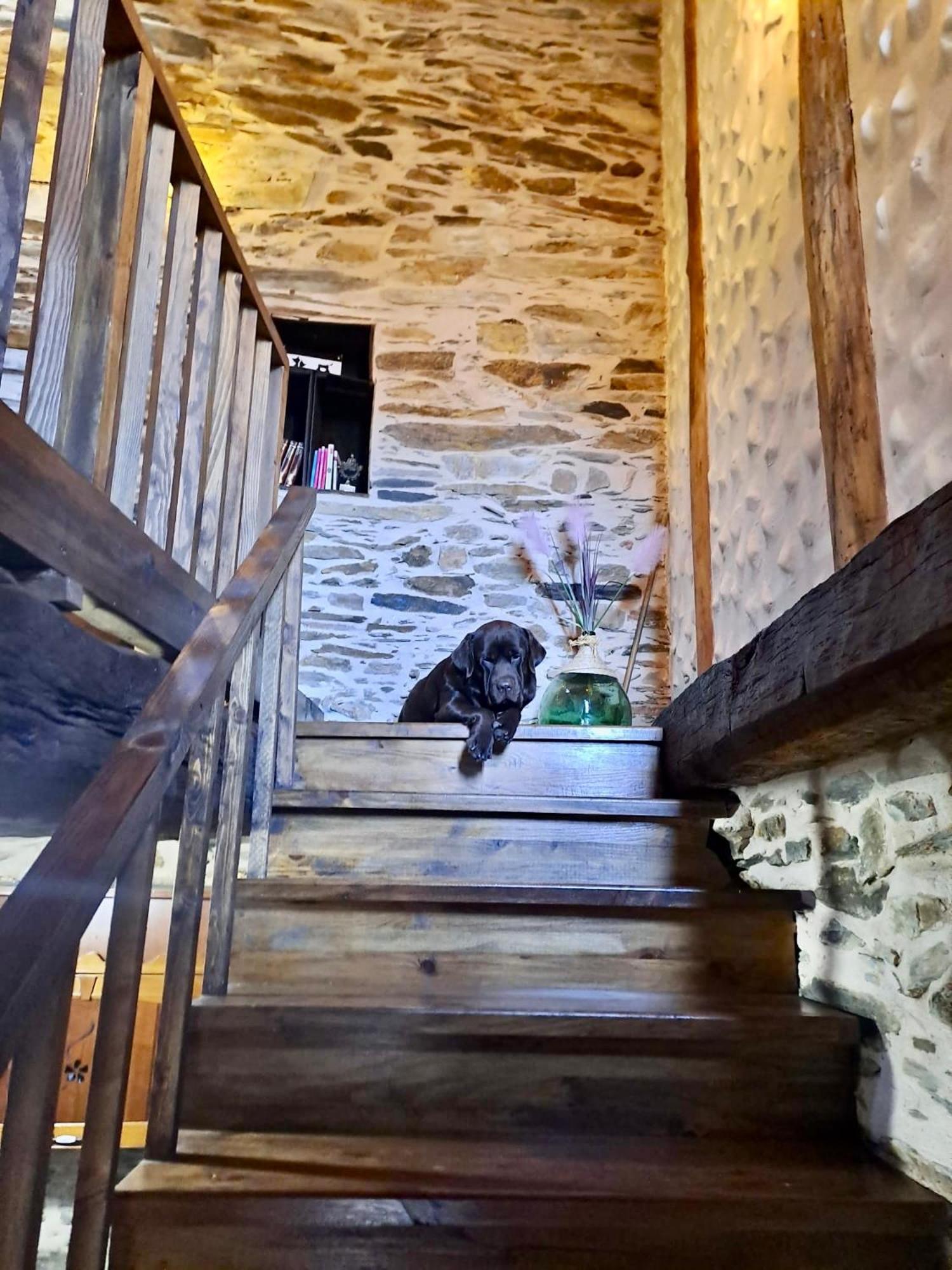Casa Rural Bierzo Encantado Valle de Finolledo Εξωτερικό φωτογραφία